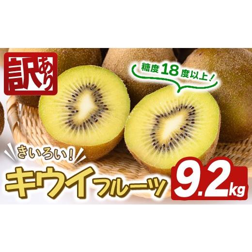 ふるさと納税 果物類 茨城県 常陸大宮市 先行予約受付中 2026年10月以降順次発送予定 訳あり 茨城県産 黄色いキウイ 9.2kg 訳あり 訳アリ キウイ キウイフル…