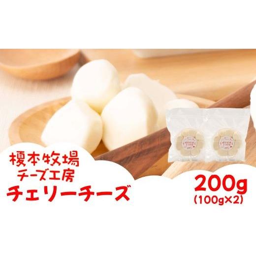 ふるさと納税 加工品等 チーズ 山口県 岩国市 チェリーチーズ 200g (100g×2) 榎本牧場チーズ工房 200g (100g×2)