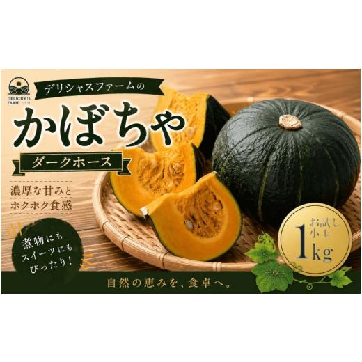 ふるさと納税 野菜類 サツマイモ 宮城県 美里町 かぼちゃ デリシャスファームのかぼちゃ ダークホース お試し小玉 1キロ 6月頃より順次発送予定 / 産地直送 …