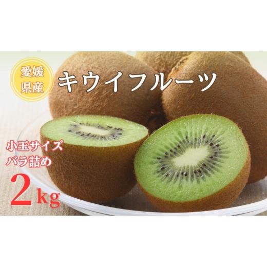 ふるさと納税 果物類 愛媛県 伊予市 2026年先行予約 キウイ バラ詰め 2kg 小玉サイズ限定 農園直送 先行予約 10月中旬から順次発送予定 キウイフルーツ 愛媛 …