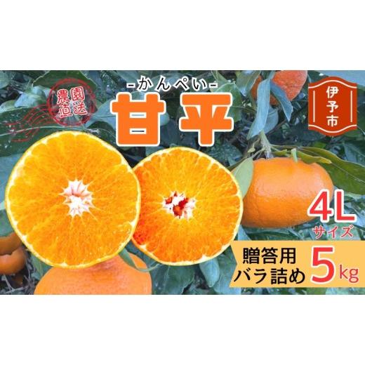 ふるさと納税 みかん・柑橘類 愛媛県 伊予市 2027年先行予約 みかん 甘平 5kg 4Lサイズ 贈答用 バラ詰め 2027年2月上旬から順次発送予定 農園直送 愛媛 数量…