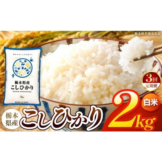 ふるさと納税 無洗米 栃木県 矢板市 令和8年産 新米 栃木県産 お米 こしひかり (白米) 2kg 2026年秋 先行予約 | 栃木県 矢板市 栃木県共通返礼品 白米 2kg…