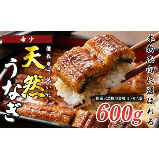 ふるさと納税 うなぎ 高知県 大月町 希少 天然 鰻 蒲焼 約4〜6人前 600g 国産 四万十川 うなぎ ウナギ 蒲焼き ウナギ蒲焼 鰻蒲焼 うな重 備長炭 炭火 炭火焼き…