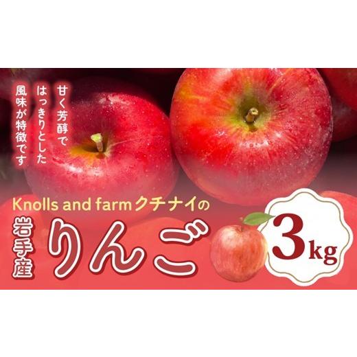 ふるさと納税 りんご 岩手県 北上市 2月新規/4月総務省申請分 Knolls and farm クチナイのりんご 3kg リンゴ 林檎 アップル 国産 果物 フルーツ 果実 岩手県…
