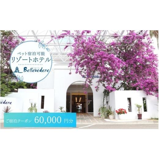 ふるさと納税 宿泊券 ホテル 和歌山県 すさみ町 ホテルベルヴェデーレ 宿泊クーポン 60,000円分 宿泊チケット リゾートホテル 和歌山 紀南 南紀 観光