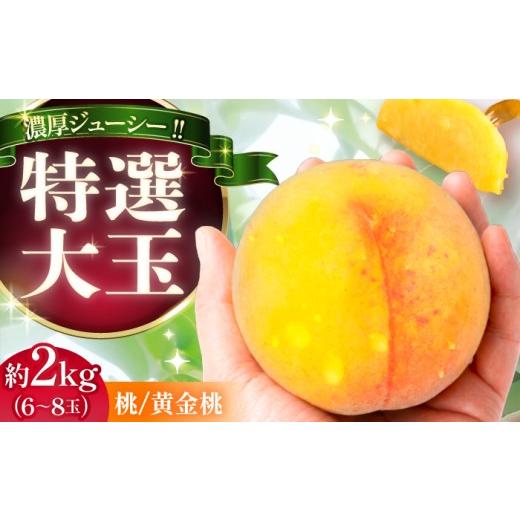 ふるさと納税 もも 岐阜県 恵那市 先行予約 2026年8月中旬から8月下旬に順次発送 桃 贈答 特選 大玉 黄金桃 2キロ(6〜8玉入り)/ もも モモ くだもの 果物 …