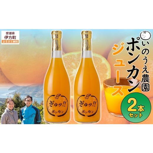 ふるさと納税 果汁飲料 みかん 愛媛県 伊方町 いのうえ農園 ポンカンジュース2本セット 離島への配送不可 ふるさと納税 人気 おすすめ ランキング 柑橘 みかん…