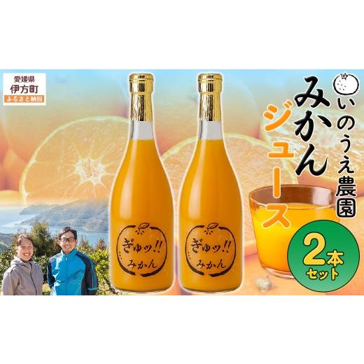 ふるさと納税 果汁飲料 みかん 愛媛県 伊方町 いのうえ農園 みかんジュース2本セット 離島への配送不可 ふるさと納税 人気 おすすめ ランキング 柑橘 みかん …