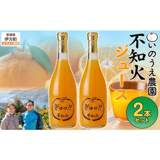 ふるさと納税 果汁飲料 みかん 愛媛県 伊方町 いのうえ農園 不知火ジュース2本セット 離島への配送不可 ふるさと納税 人気 おすすめ ランキング 柑橘 みかん …