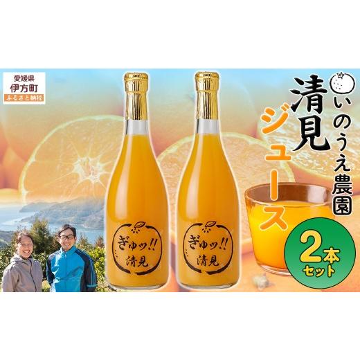ふるさと納税 果汁飲料 みかん 愛媛県 伊方町 いのうえ農園 清見ジュース2本セット 離島への配送不可 ふるさと納税 人気 おすすめ ランキング 柑橘 みかん ミ…