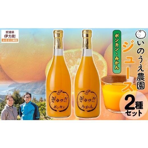 ふるさと納税 果汁飲料 みかん 愛媛県 伊方町 いのうえ農園 ジュース2種セット(ポンカン/みかん) 離島への配送不可 ふるさと納税 人気 おすすめ ランキング…