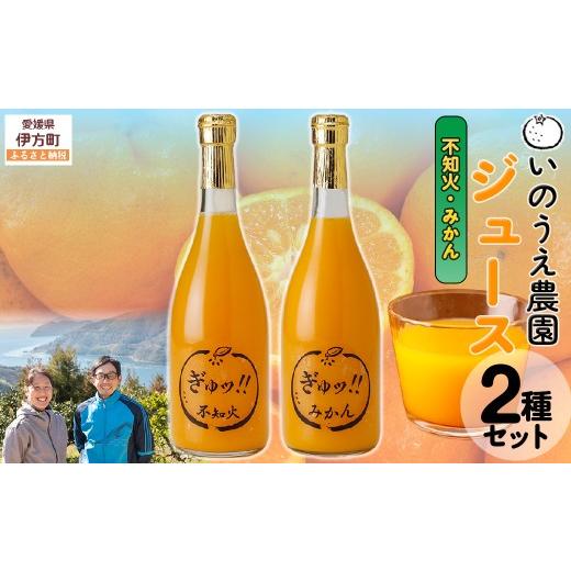 ふるさと納税 果汁飲料 みかん 愛媛県 伊方町 いのうえ農園 ジュース2種セット(不知火/みかん) 離島への配送不可 ふるさと納税 人気 おすすめ ランキング …