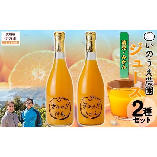 ふるさと納税 果汁飲料 みかん 愛媛県 伊方町 いのうえ農園 ジュース2種セット(清見/みかん) 離島への配送不可 ふるさと納税 人気 おすすめ ランキング 柑…