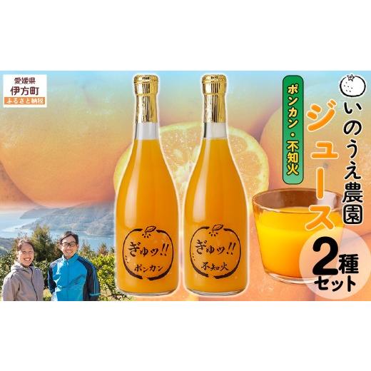 ふるさと納税 果汁飲料 みかん 愛媛県 伊方町 いのうえ農園 ジュース2種セット(ポンカン/不知火) 離島への配送不可 ふるさと納税 人気 おすすめ ランキング…