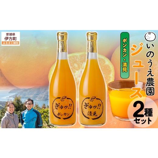 ふるさと納税 果汁飲料 みかん 愛媛県 伊方町 いのうえ農園 ジュース2種セット(ポンカン/清見) 離島への配送不可 ふるさと納税 人気 おすすめ ランキング …