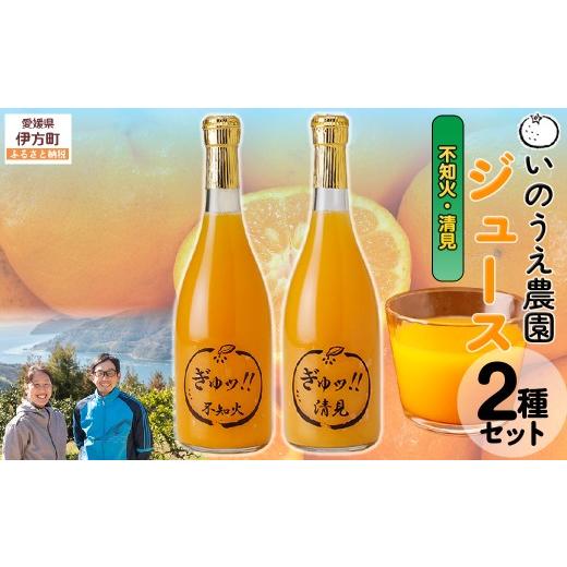 ふるさと納税 果汁飲料 みかん 愛媛県 伊方町 いのうえ農園 ジュース2種セット(不知火/清見) 離島への配送不可 ふるさと納税 人気 おすすめ ランキング 柑…
