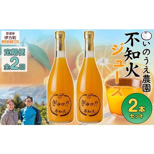 ふるさと納税 果汁飲料 みかん 愛媛県 伊方町 定期便 いのうえ農園 不知火ジュース2本セット 全2回 離島への配送不可 ふるさと納税 人気 おすすめ ランキング…
