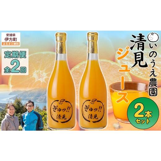 ふるさと納税 果汁飲料 みかん 愛媛県 伊方町 定期便 いのうえ農園 清見ジュース2本セット 全2回 離島への配送不可 ふるさと納税 人気 おすすめ ランキング …