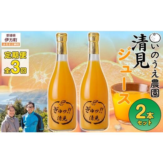 ふるさと納税 果汁飲料 みかん 愛媛県 伊方町 定期便 いのうえ農園