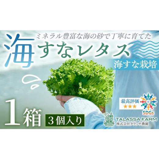 ふるさと納税 野菜類 宮崎県 新富町 フリルレタス「海すなレタス」3個入×1箱 新鮮 野菜 サラダ A344 3個入×1箱