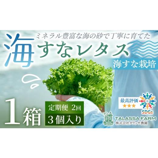ふるさと納税 野菜類 宮崎県 新富町 [定期便2か月]フリルレタス「海すなレタス」3個入×1箱×2か月 新鮮 野菜 サラダ B698 2回定期便 3個入×1箱×2か月