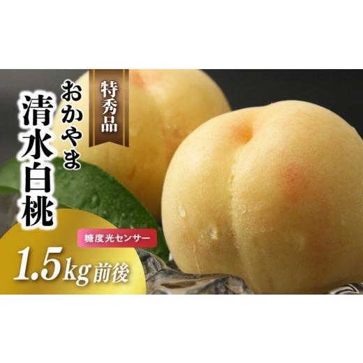 ふるさと納税 もも 岡山県 真庭市 白桃 清水白桃 特秀品 1.5kg前後 桃 糖度センサー momo27 / 清水白桃 贈答 お中元 ギフト 産直 高級 フルーツ 果物 くだも…
