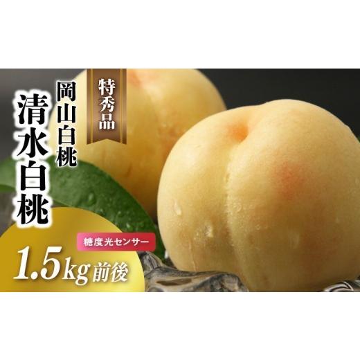 ふるさと納税 もも 岡山県 真庭市 岡山白桃 清水白桃 特秀品 1.5kg前後 4-6玉 糖度センサー 糖度12度 momo46 / 清水白桃 贈答 お中元 ギフト 産直 高級 フル…