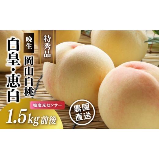 ふるさと納税 もも 岡山県 真庭市 岡山白桃 白皇・恵白(晩生) 特秀品 1.5kg前後 糖度センサー momo65 / 白桃 贈答 お中元 ギフト 産直 高級 フルーツ 果物 …