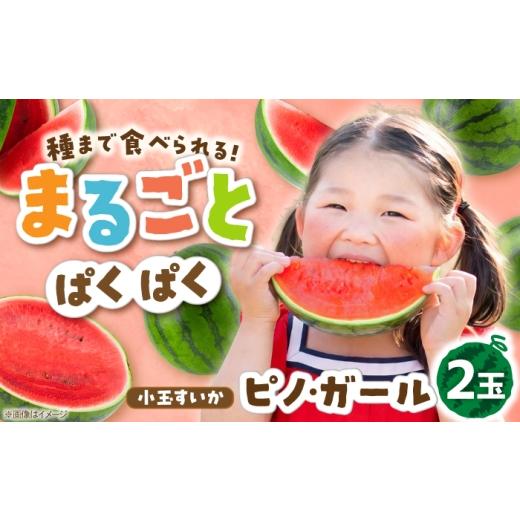 ふるさと納税 スイカ 佐賀県 吉野ヶ里町 スイカ ピノガール 2玉 吉野ヶ里町 / MEISHO FARM