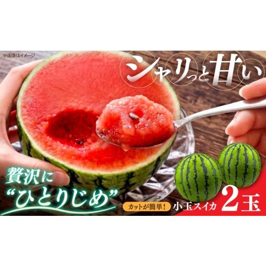 ふるさと納税 スイカ 佐賀県 吉野ヶ里町 小玉で切りやすい スイカ ひとりじめ 2玉 吉野ヶ里町 / MEISHO FARM