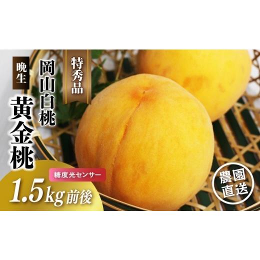 ふるさと納税 もも 岡山県 真庭市 岡山白桃 (晩生/黄金桃) 特秀品 1.5kg前後 糖度センサー momo68 / 黄桃 贈答 ギフト 産直 高級 フルーツ 果物 くだもの …