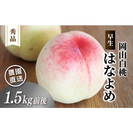 ふるさと納税 もも 岡山県 真庭市 岡山白桃 (早生/はなよめ) 秀品 1.5kg前後 4〜6玉 momo40 / 白桃 贈答 ギフト 産直 高級 フルーツ 果物 くだもの プレゼ…