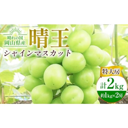 ふるさと納税 ぶどう マスカット 岡山県 浅口市 ぶどう シャインマスカット晴王 特大房 計2kg 約1kg×2房 橋田商店有限会社[9月上旬-11月中旬頃出荷] 岡山県…