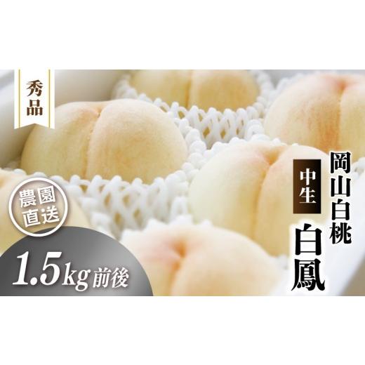ふるさと納税 もも 岡山県 真庭市 岡山白桃 (中生/白鳳) 秀品 1.5kg前後 4〜6玉 momo01 / 白桃 贈答 お中元 ギフト 産直 高級 フルーツ 果物 くだもの プ…