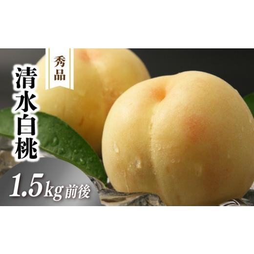ふるさと納税 もも 岡山県 真庭市 清水白桃 秀品 1.5kg前後 4〜6玉 momo02 / 白桃 贈答 お中元 ギフト 産直 高級 フルーツ 果物 くだもの プレゼント 配送不…