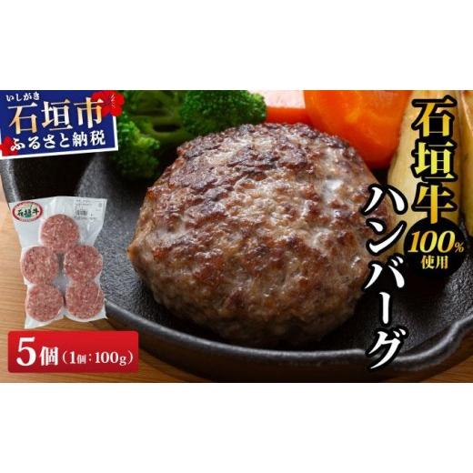 ふるさと納税 牛肉 ハンバーグ 沖縄県 石垣市 石垣牛ハンバーグ 500g (100g×5個×1パック)| ハンバーグ 石垣牛 牛肉 石垣市 石垣島 沖縄 コッパリ 500g(100g…