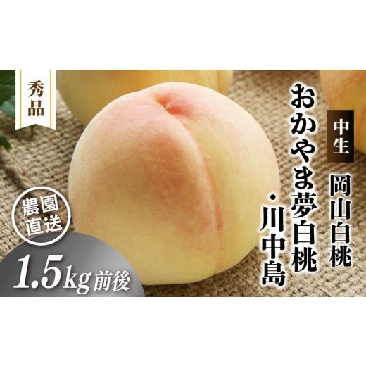 ふるさと納税 もも 岡山県 真庭市 岡山白桃 (中生/おかやま夢白桃・川中島)秀品 1.5kg前後 4〜6玉 momo44 / 白桃 贈答 お中元 ギフト 産直 高級 フルーツ …