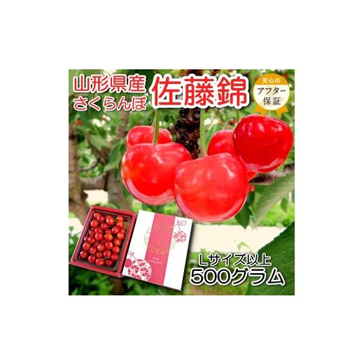 ふるさと納税 果物類 さくらんぼ 山形県 長井市 2026年発送 「秀品」さくらんぼ佐藤錦約500g(L以上・バラ詰)_H248(R8)