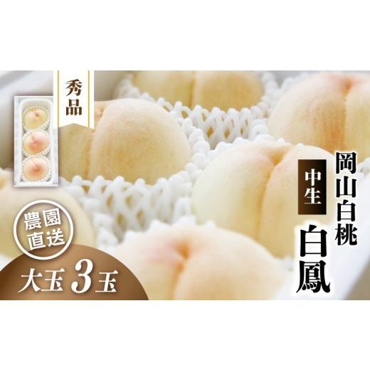 ふるさと納税 もも 岡山県 真庭市 岡山白桃 白鳳 秀品 大玉3玉 momo30 / 白桃 贈答 お中元 ギフト 産直 高級 フルーツ 果物 くだもの プレゼント 配送不可地…