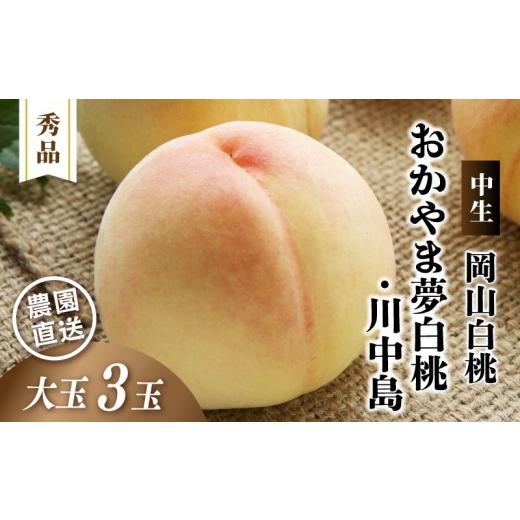 ふるさと納税 もも 岡山県 真庭市 岡山白桃 おかやま夢白桃・川中島 秀品 大玉3玉 momo48 / 白桃 贈答 お中元 ギフト 産直 高級 フルーツ 果物 くだもの プレ…