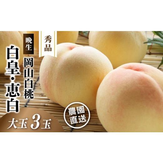 ふるさと納税 もも 岡山県 真庭市 岡山白桃 (晩生/白皇・恵白) 秀品 大玉3玉 momo66 / 桃 白桃 贈答 お中元 ギフト 産直 高級 フルーツ 果物 くだもの プ…