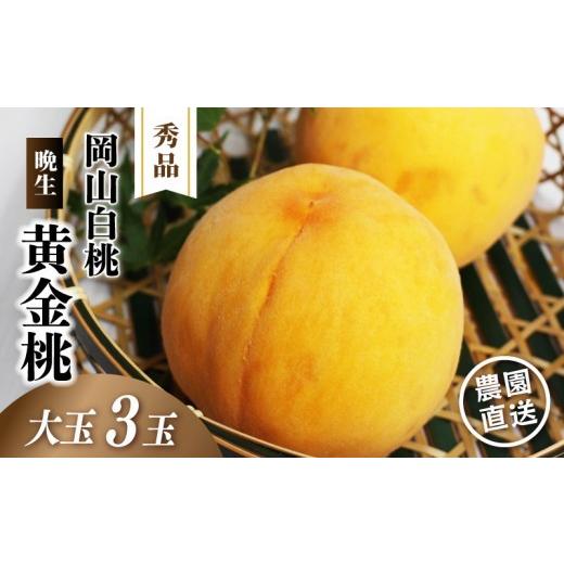 ふるさと納税 もも 岡山県 真庭市 岡山白桃 (晩生/黄金桃) 秀品 大玉3玉 momo69 / 黄桃 贈答 ギフト 産直 高級 フルーツ 果物 くだもの プレゼント 配送不…