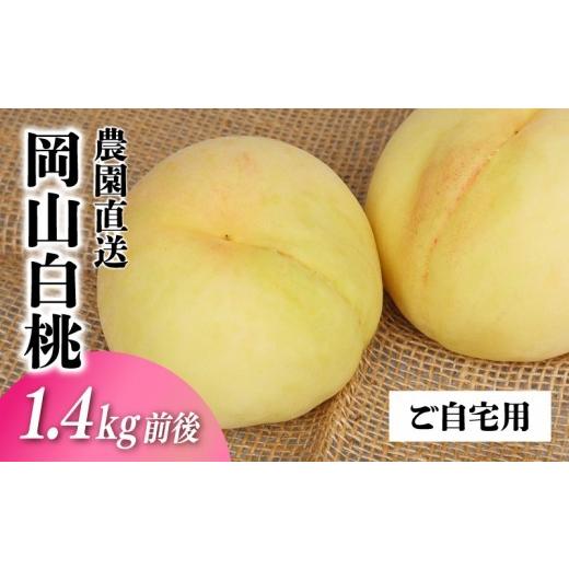 ふるさと納税 もも 岡山県 真庭市 岡山白桃 ご自宅用お試しサイズ 1.4kg前後 momo51 / 自宅用 家庭用 お試し 配送不可地域:北海道/沖縄県/離島 jujy086-01…