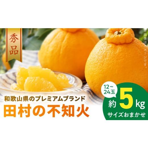 ふるさと納税 みかん・柑橘類 和歌山県 湯浅町 AB7433_ 2027年先行予約 和歌山有田 田村の不知火(田村デコ) 秀品 12〜24玉