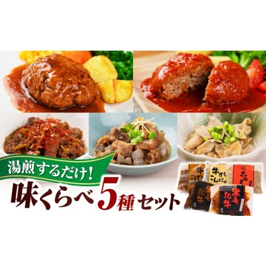 ふるさと納税 肉 ハンバーグ 島根県 松江市 味くらべセット 5種セット 島根県松江市/株式会社MJビーフ