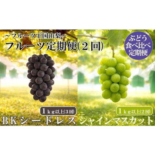 ふるさと納税 ぶどう マスカット 山梨県 富士川町 フルーツ(ぶどう)定期便[秀品以上] シャインマスカット(1kg以上・2房)+ BKシードレス(1kg以上…
