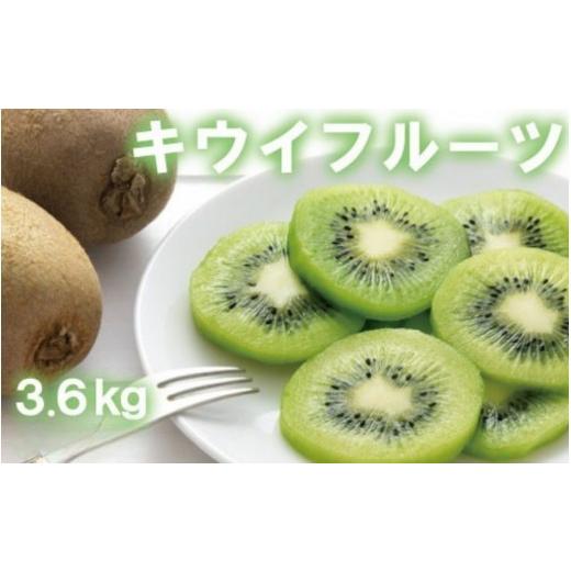 ふるさと納税 果物類 和歌山県 かつらぎ町 和歌山県産 厳選 キウイフルーツ 24〜36玉 (約3.6kg) 2027年1月上旬〜3月上旬頃に順次発送予定