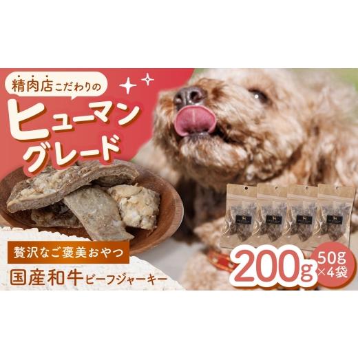 ふるさと納税 雑貨・日用品 長崎県 諫早市 愛犬用 和牛 ビーフジャーキー 200g(50g×4) / 和牛 国産牛 犬 おやつ ドッグフード 手作り シニア犬対応 しつけ …
