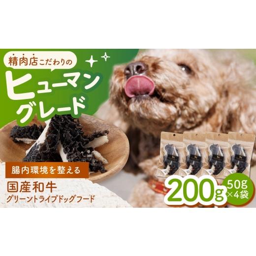ふるさと納税 雑貨・日用品 長崎県 諫早市 愛犬用 グリーントライプ ドッグフード 200g(50g×4) / グリーントライプ トライプ はちのす 犬 おやつ ジャーキ…