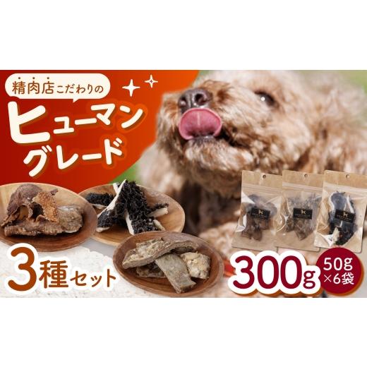 ふるさと納税 雑貨・日用品 長崎県 諫早市 愛犬用 牛肉ジャーキー 3種セット 各100g(50g×2) / 牛タン 牛たん グリーントライプ トライプ はちのす 犬 おや…